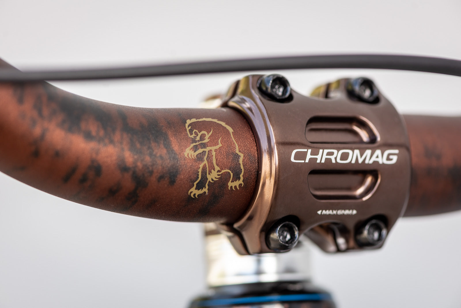 Showroom Signature