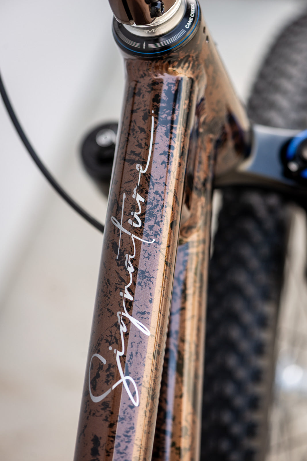 Showroom Signature