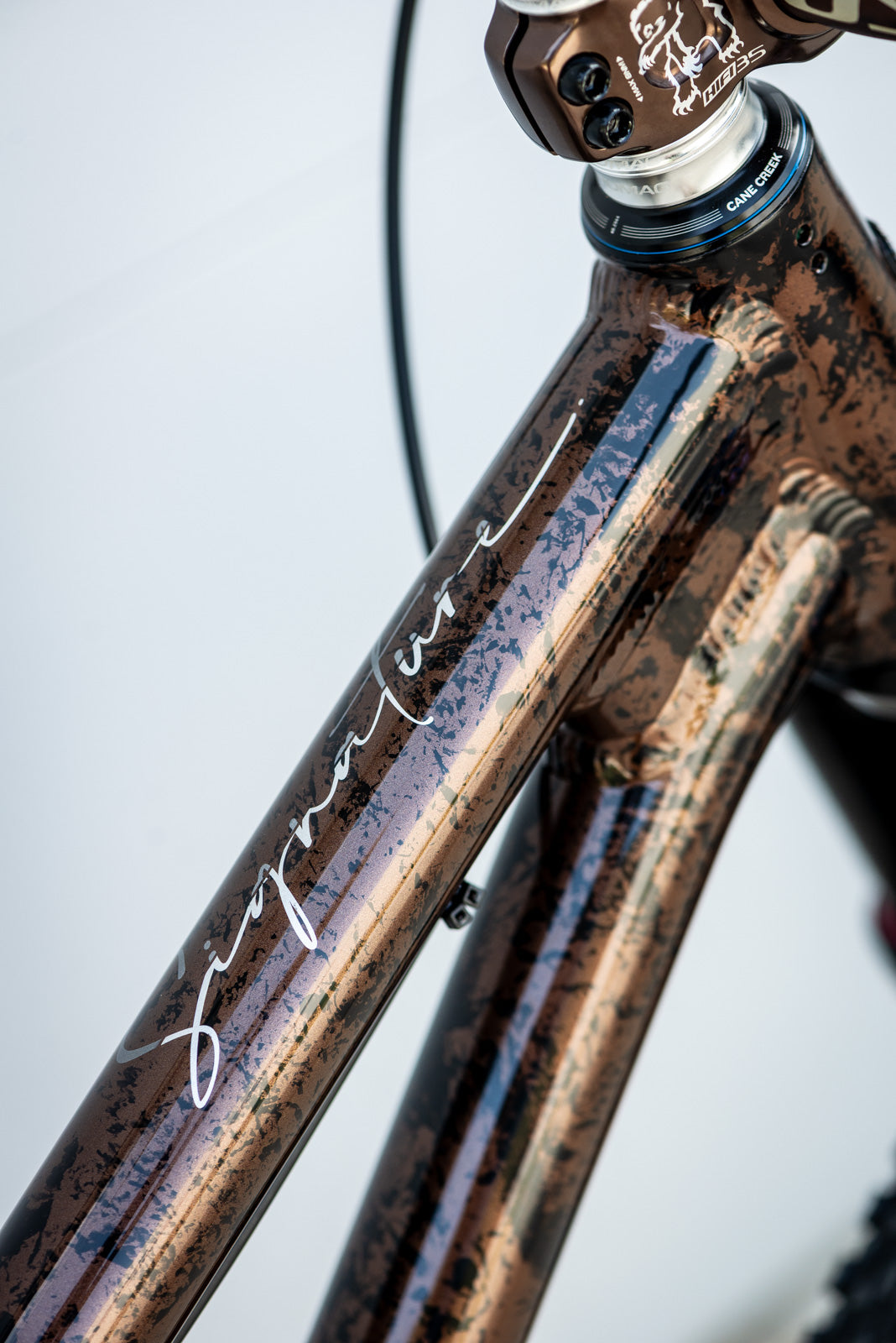 Showroom Signature